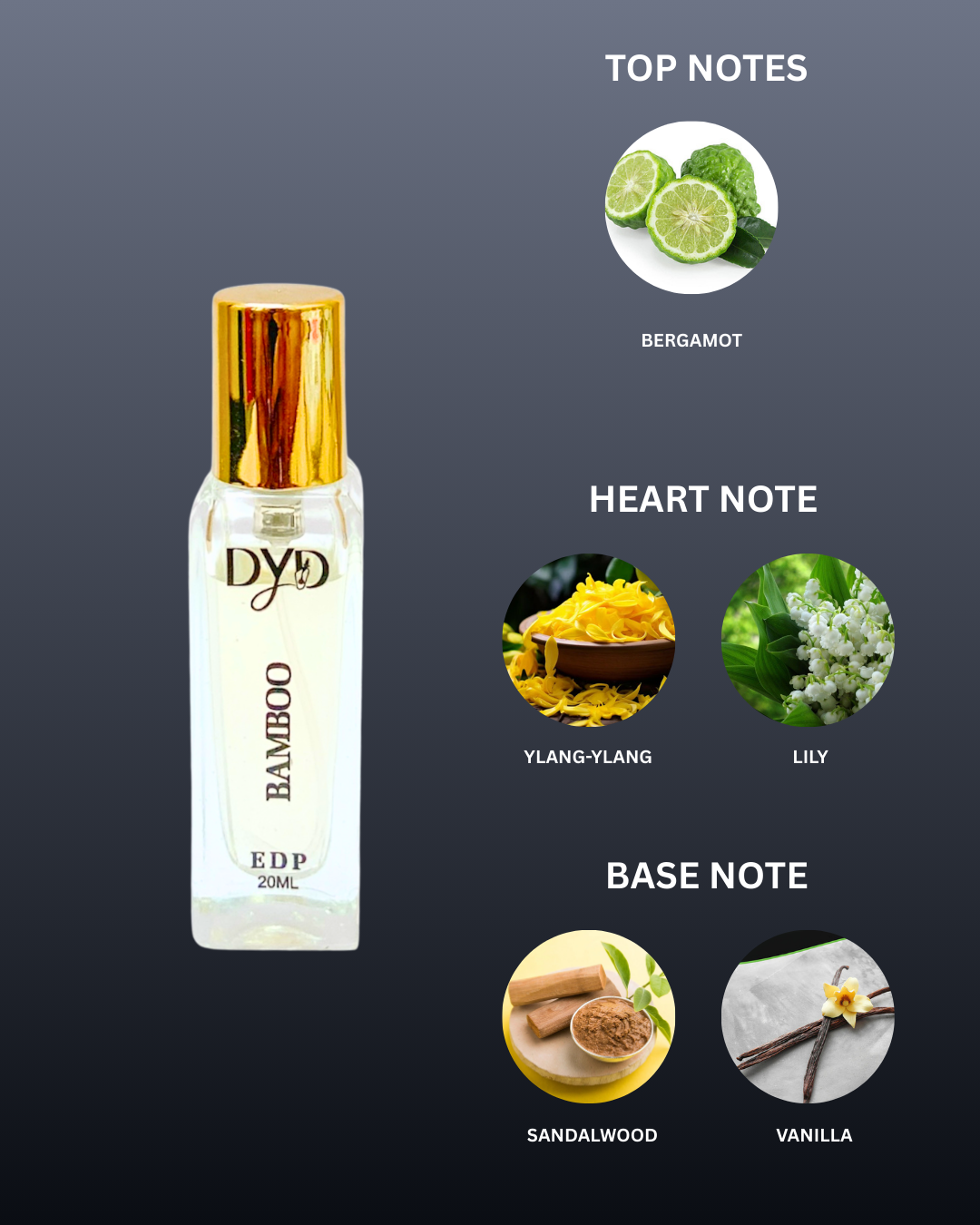 DYD BAMBOO