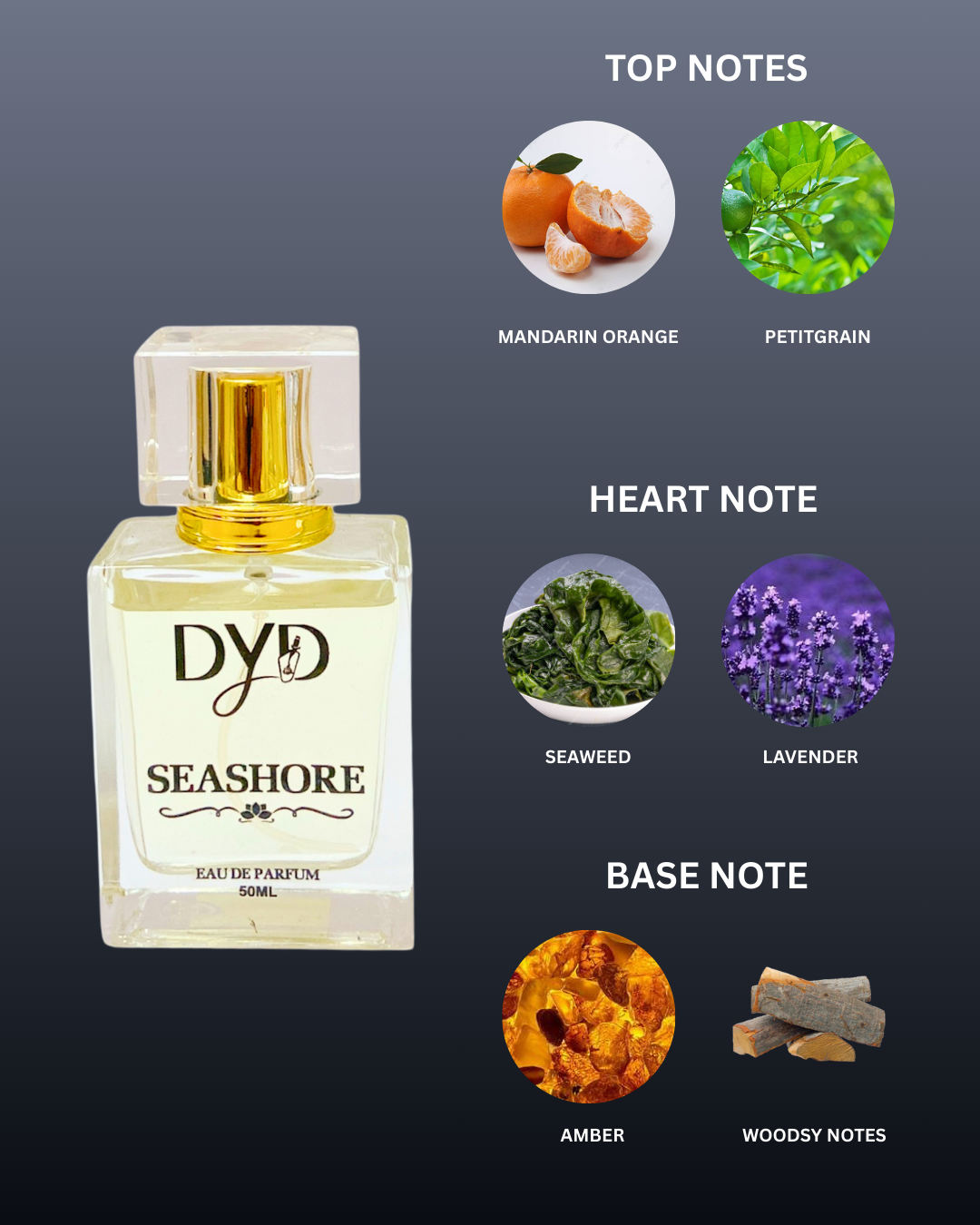 DYD SEA SHORE