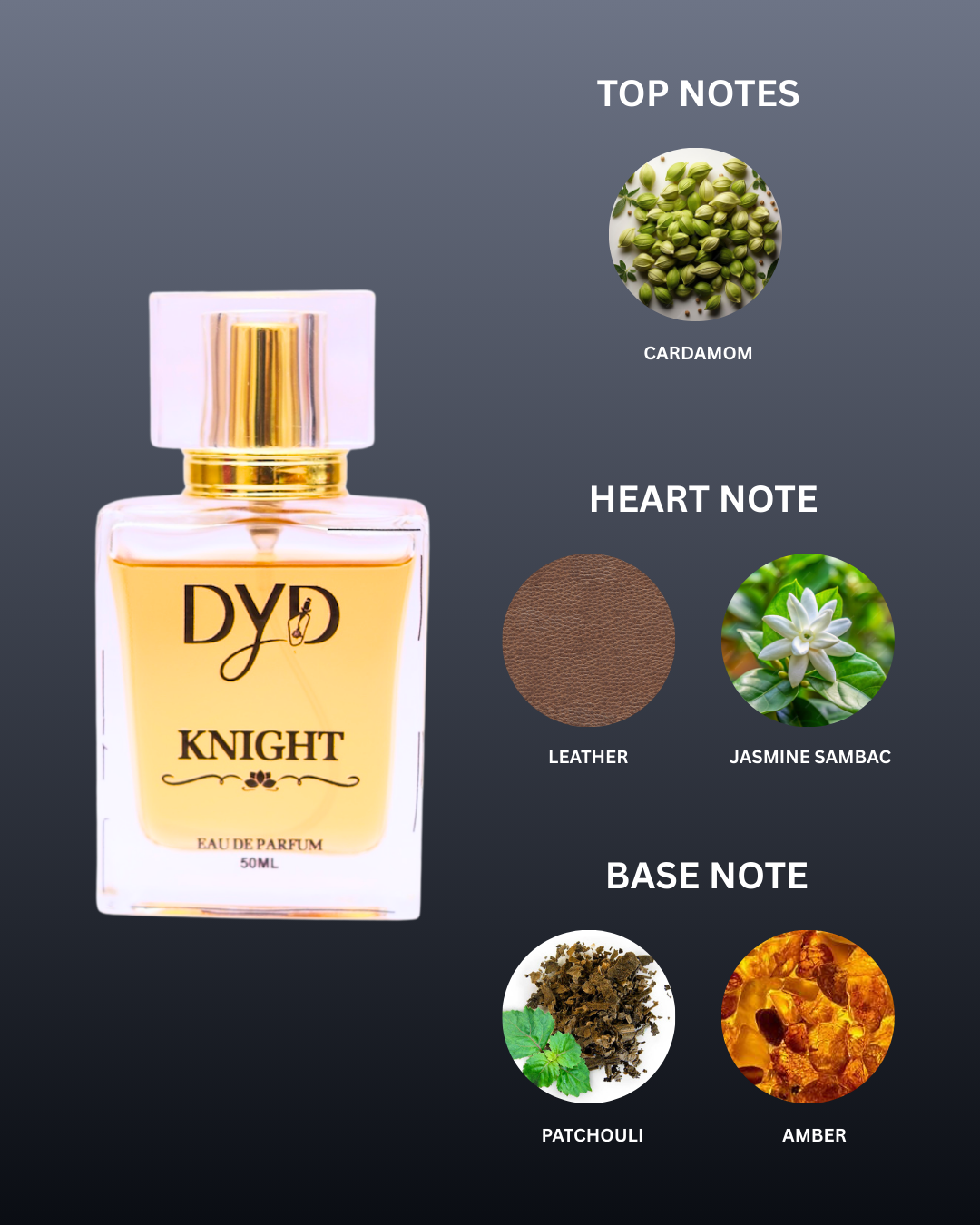 DYD KNIGHT