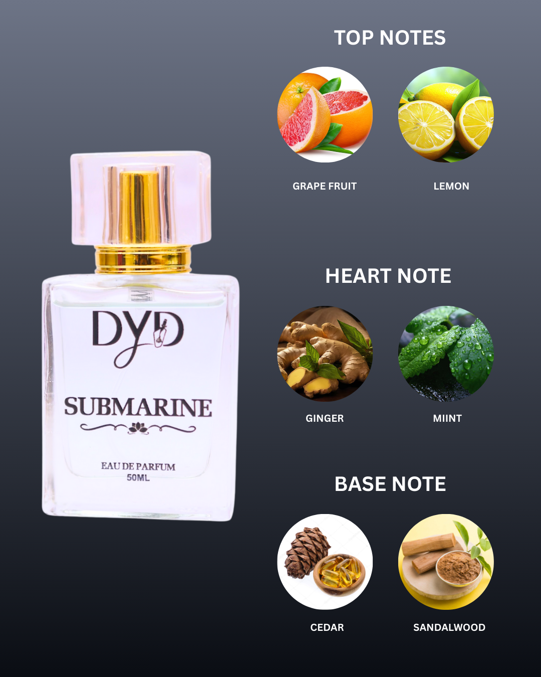 DYD SUBMARINE