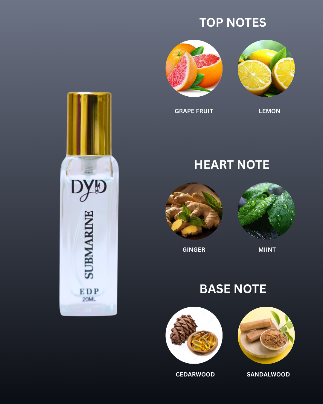 DYD SUBMARINE